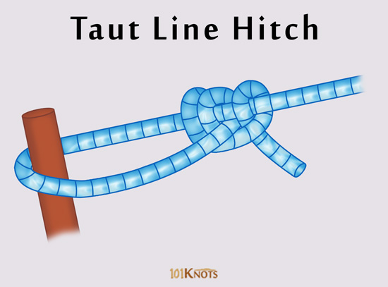 image displaying taut-line hitch knot