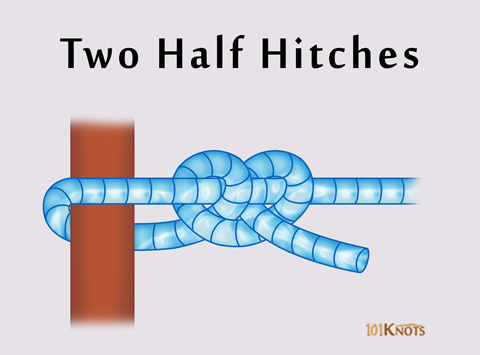 image displaying two half hitches knot